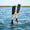 Schwarz / Beige,Negro / Beige,Noir / Beige,Nero / Beige,Black / Beige