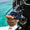 Diver holding black and blue Helix regulator